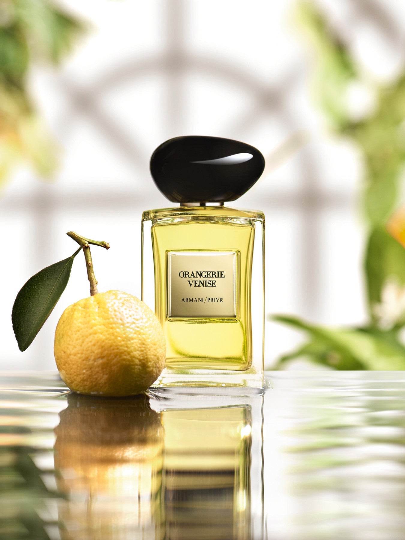 Giorgio Armani Privé Orangerie Venise EDT For Unisex – 50 ml -  - www.xscent.shop