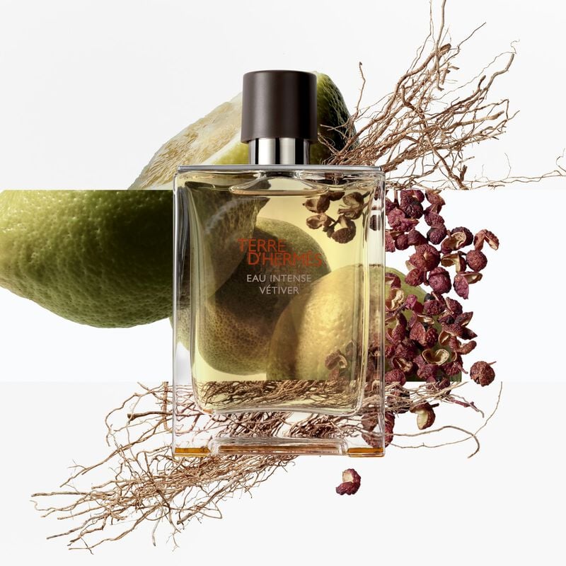 Hermes Terre d'Hermes Eau Intense Vetiver EDP For Him - 100 ml -  - www.xscent.shop