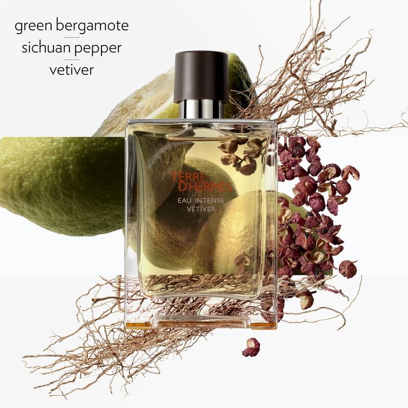 Hermes Terre d'Hermes Eau Intense Vetiver EDP For Him - 100 ml -  - www.xscent.shop