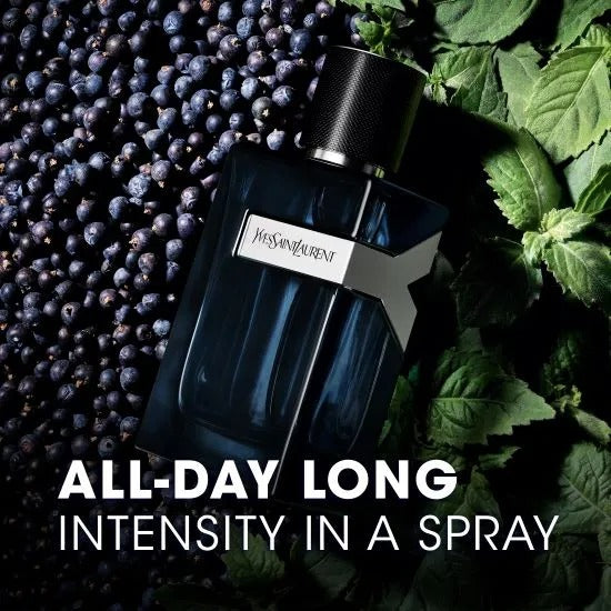 Yves Saint Laurent Y Intense EDP For Him – 100 ml - www.xscent.shop