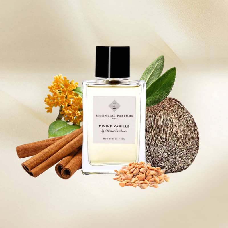 Essential Parfums Divine Vanille EDP For Unisex - 100 ml -  - www.xscent.shop