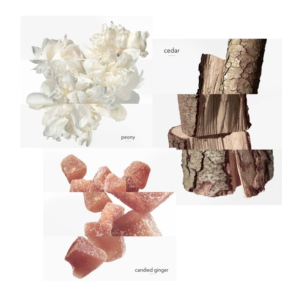 Hermes Twilly D`Hermes Eau Ginger EDP For Her - 85 ml -  - www.xscent.shop