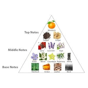 Guess Seductive Homme EDT For Him - 100 ml -  - www.xscent.shop