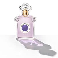Guerlain Insolence EDP For Her - 75 ml -  - www.xscent.shop