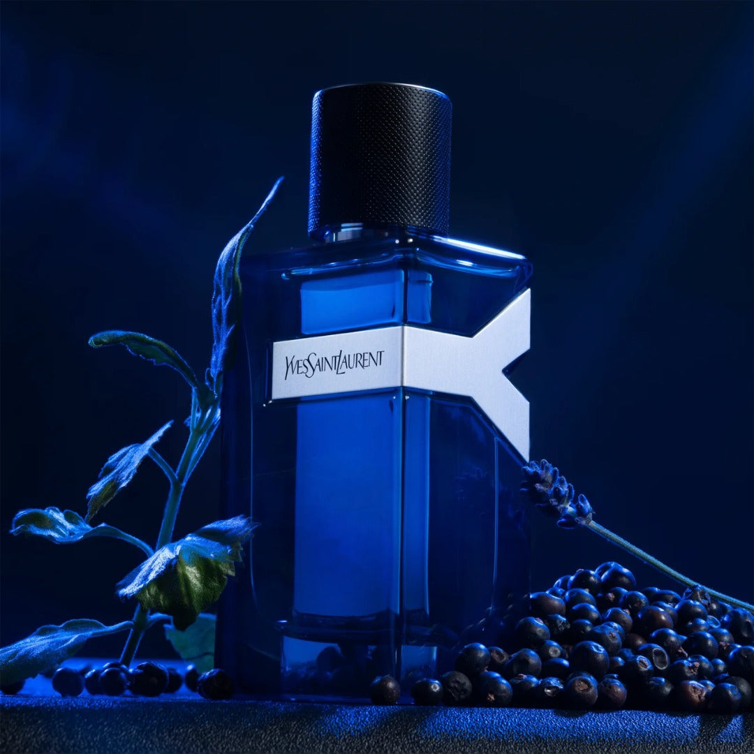 Yves Saint Laurent Y Intense EDP For Him – 100 ml - www.xscent.shop
