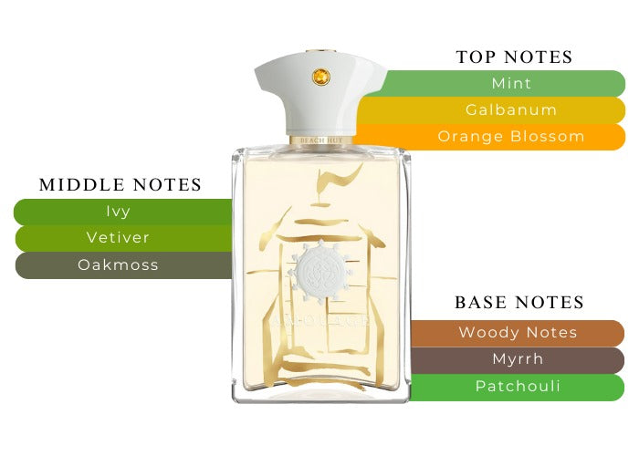 Amouage Beach Hut EDP For Him - 100 ml - www.xscent.shop
