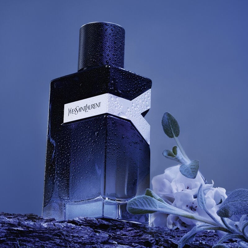 Yves Saint Laurent Y Live Intense EDT For Him – 100 ml - www.xscent.shop