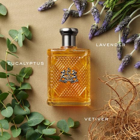Ralph Lauren Safari EDT For Him - 125 ml -  - www.xscent.shop