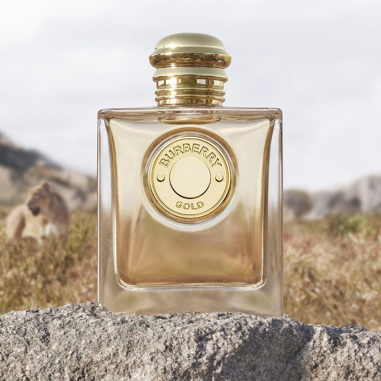 Burberry Gold - Eau de Parfum For Her - 100 ml -  - www.xscent.shop