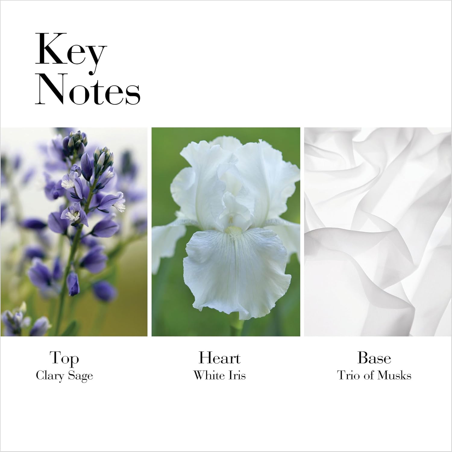 Elizabeth Arden White Tea EDT For Her - 100 ml -  - www.xscent.shop
