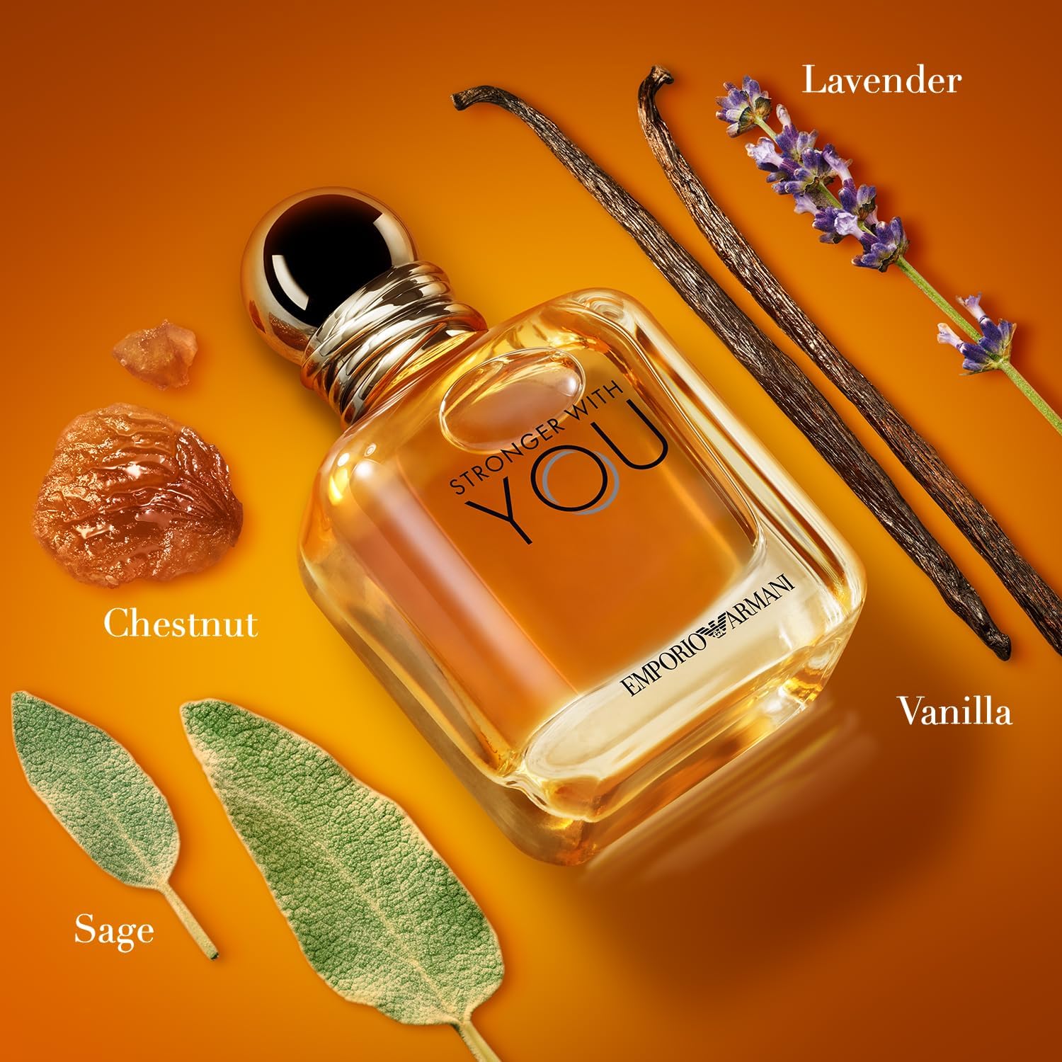 Giorgio Armani Emporio Stronger with You EDT For Him - 100 ml -  - www.xscent.shop