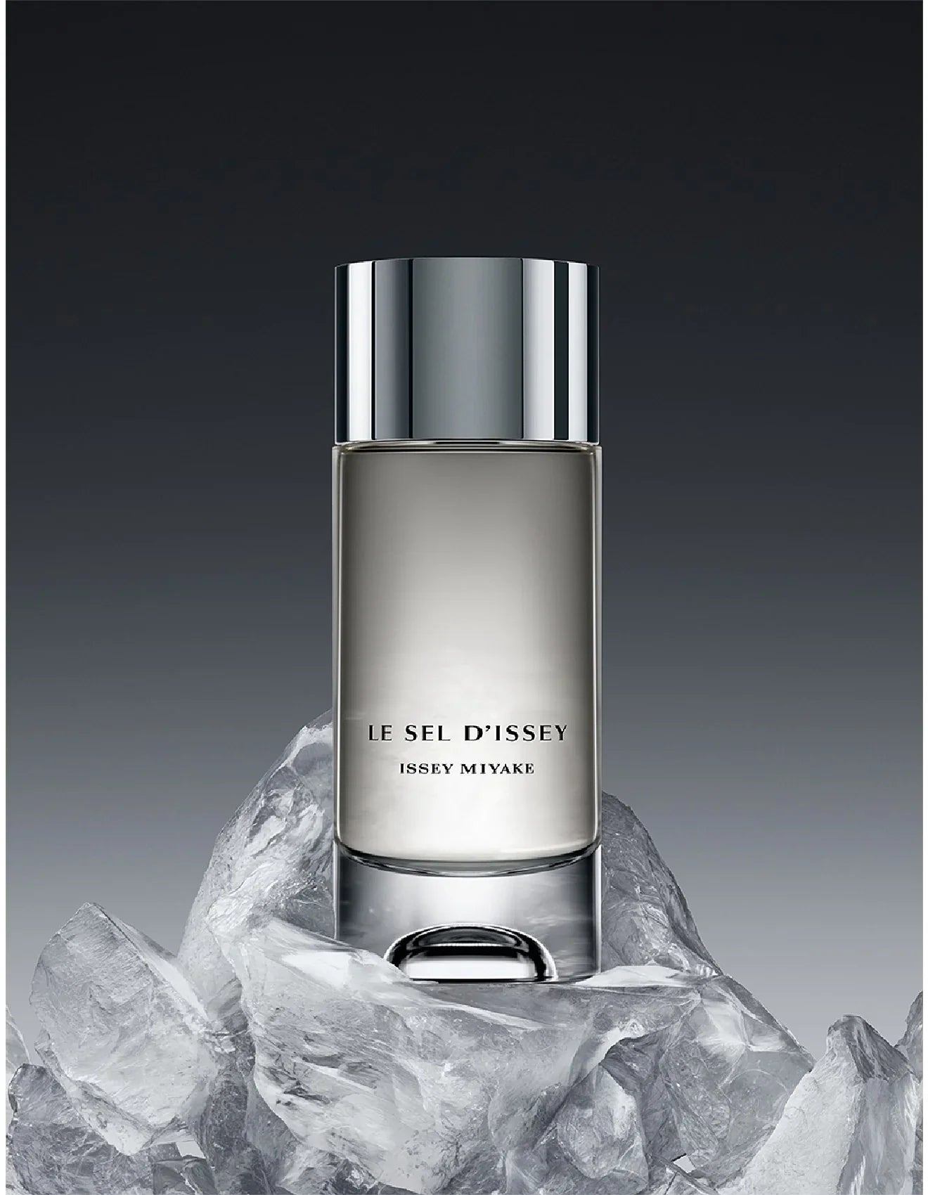 Issey Miyake Le Sel D'issey EDT For Him - 100 ml Refill -  - www.xscent.shop