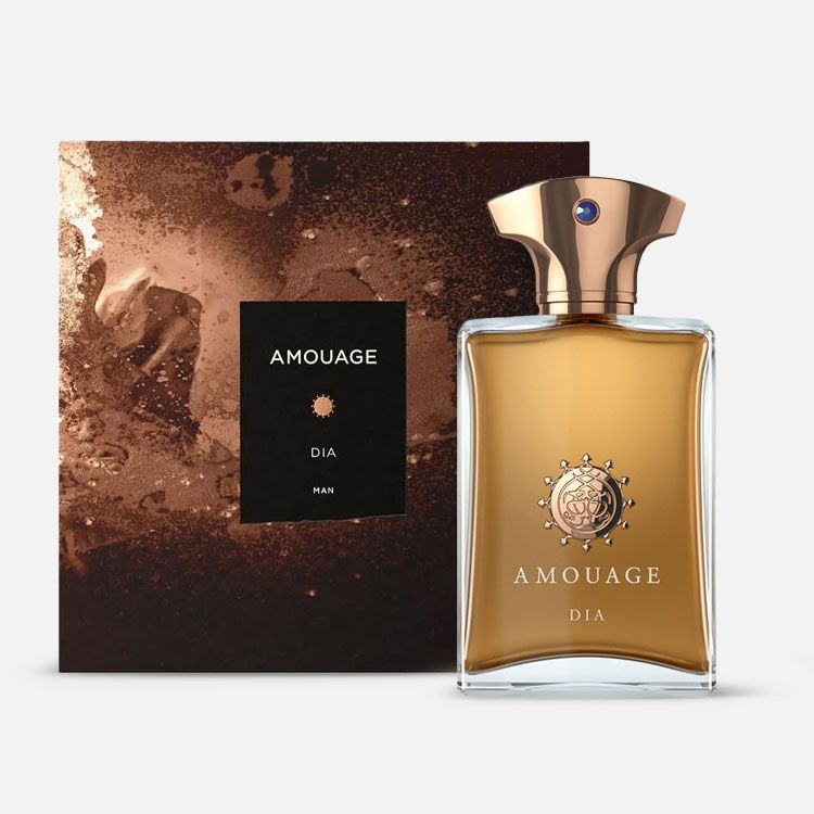 AMOUAGE DIA EDP 100 ML POUR HOMME - www.xscent.shop