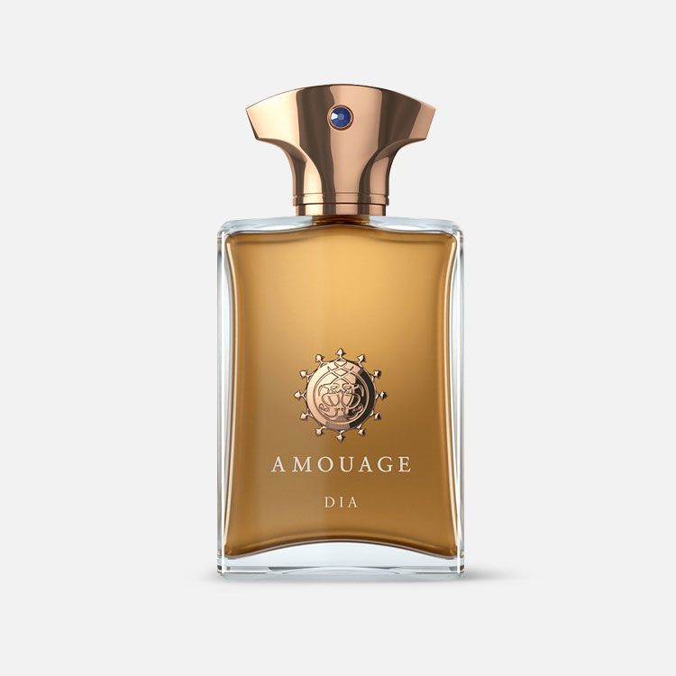 AMOUAGE DIA EDP 100 ML POUR HOMME - www.xscent.shop