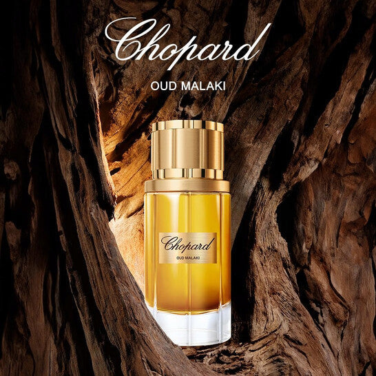 Chopard Oud Malaki Edp For Him – 80 Ml -  - www.xscent.shop