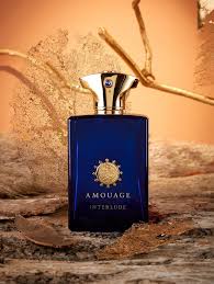 Amouage Interlude Black iris EDP For Him - 100 ml -  - www.xscent.shop