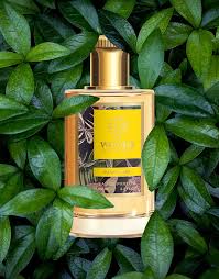 The Woods Collection Panorama EDP For Unisex - 100 ml -  - www.xscent.shop