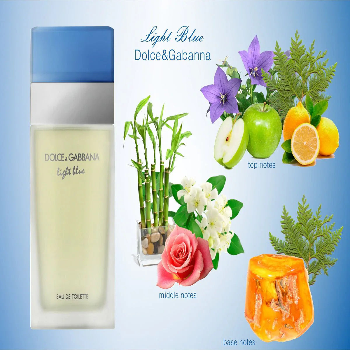 Dolce & Gabbana Light Blue EDT For Her - 100 ml - www.xscent.shop