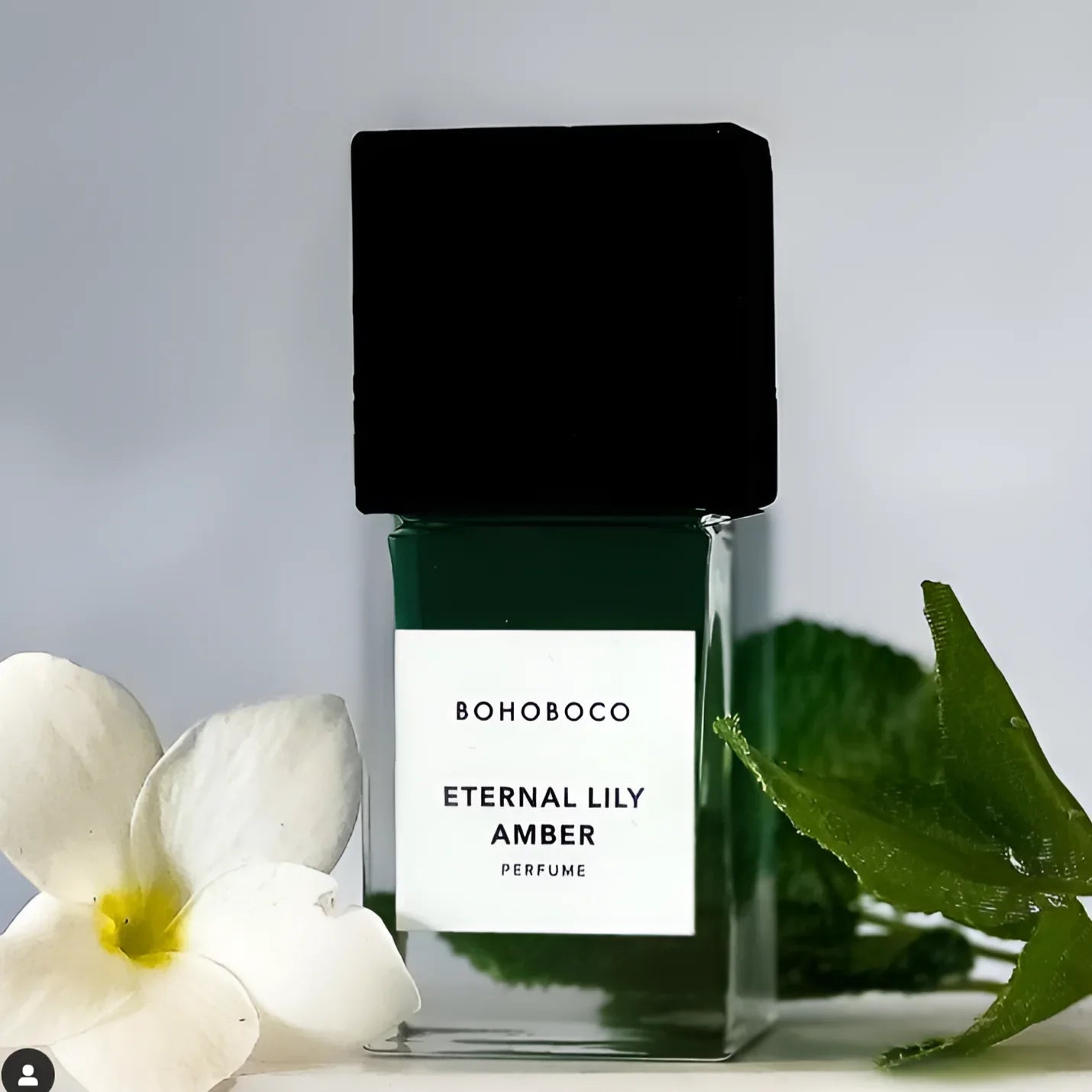 Bohoboco Eternal Lily Amber Perfume For Unisex - 50 ml -  - www.xscent.shop