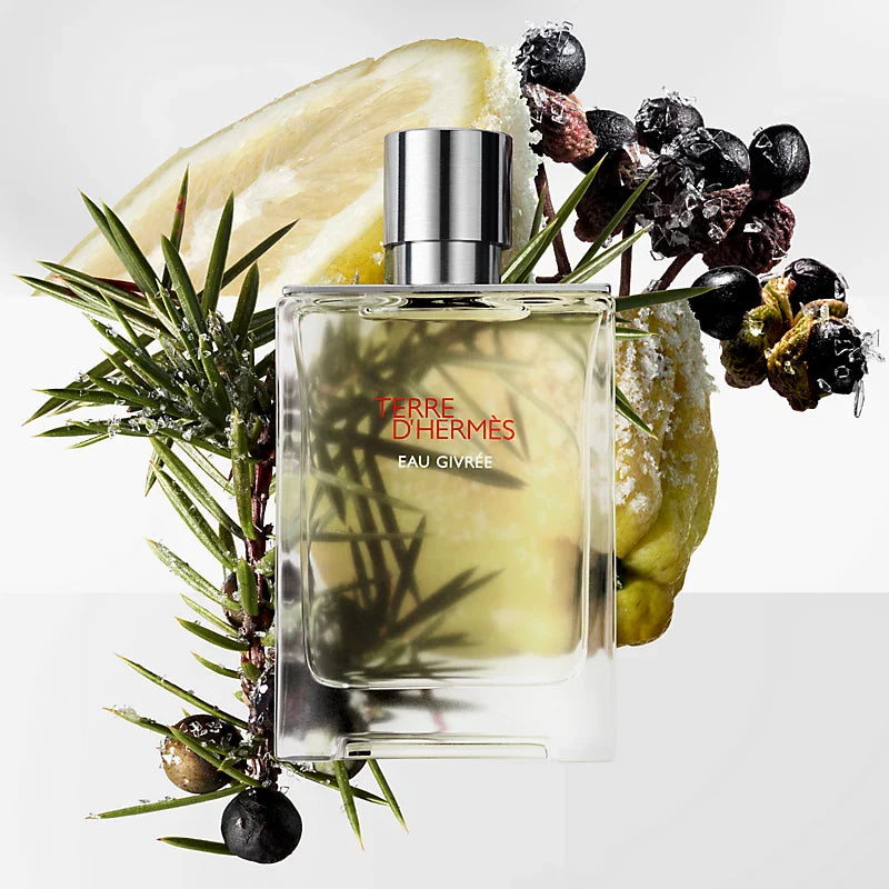 Hermes Terre D`Hermes Eau Givree EDP For Him - 100 ml -  - www.xscent.shop