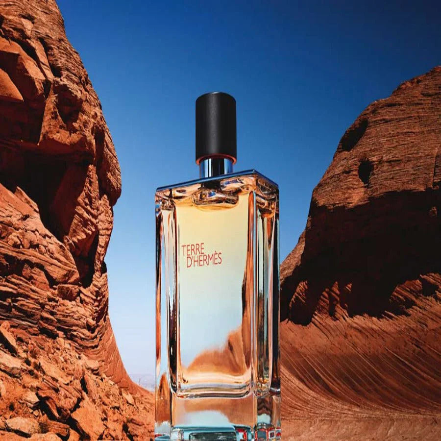 Hermes Terre D'Hermes EDT For Him - 200 ml -  - www.xscent.shop