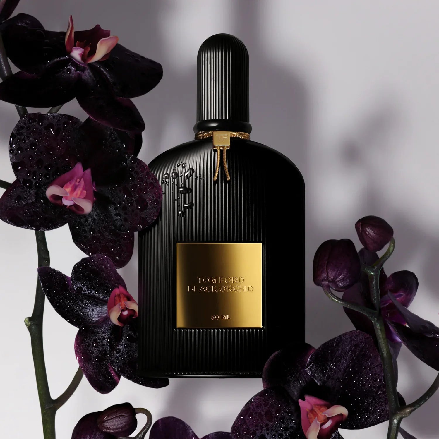 Tom Ford Black Orchid EDP For Unisex - 50 ml -  - www.xscent.shop