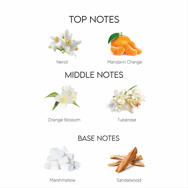 Dolce & Gabbana Pour Femme Eau de Toilette For Her - 100 ml - www.xscent.shop