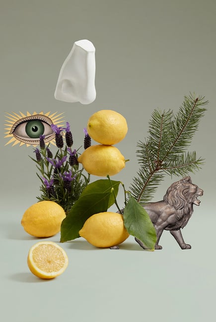 Penhaligons Blenheim Bouquet EDT For Him - 100 ml -  - www.xscent.shop