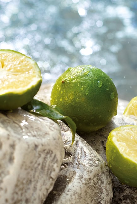 Dolce & Gabbana Light Blue Summer Vibes Eau de Toilette For Her - 50 ml -  - www.xscent.shop