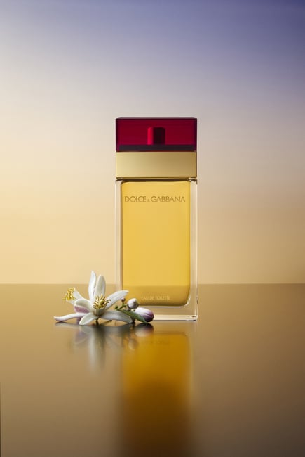 Dolce & Gabbana Pour Femme Eau de Toilette For Her -100 ml -  - www.xscent.shop