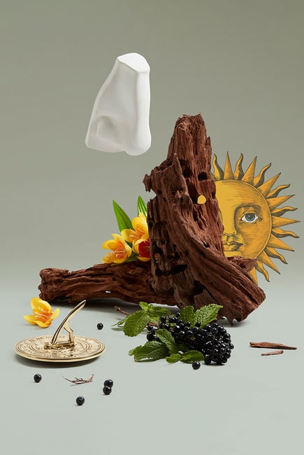 Penhaligons Solaris, EDP For Unisex – 100 ml -  - www.xscent.shop