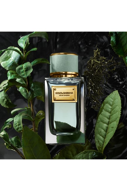 Dolce & Gabbana Velvet Infusion Eau de Parfum For Unisex - 100 ml -  - www.xscent.shop