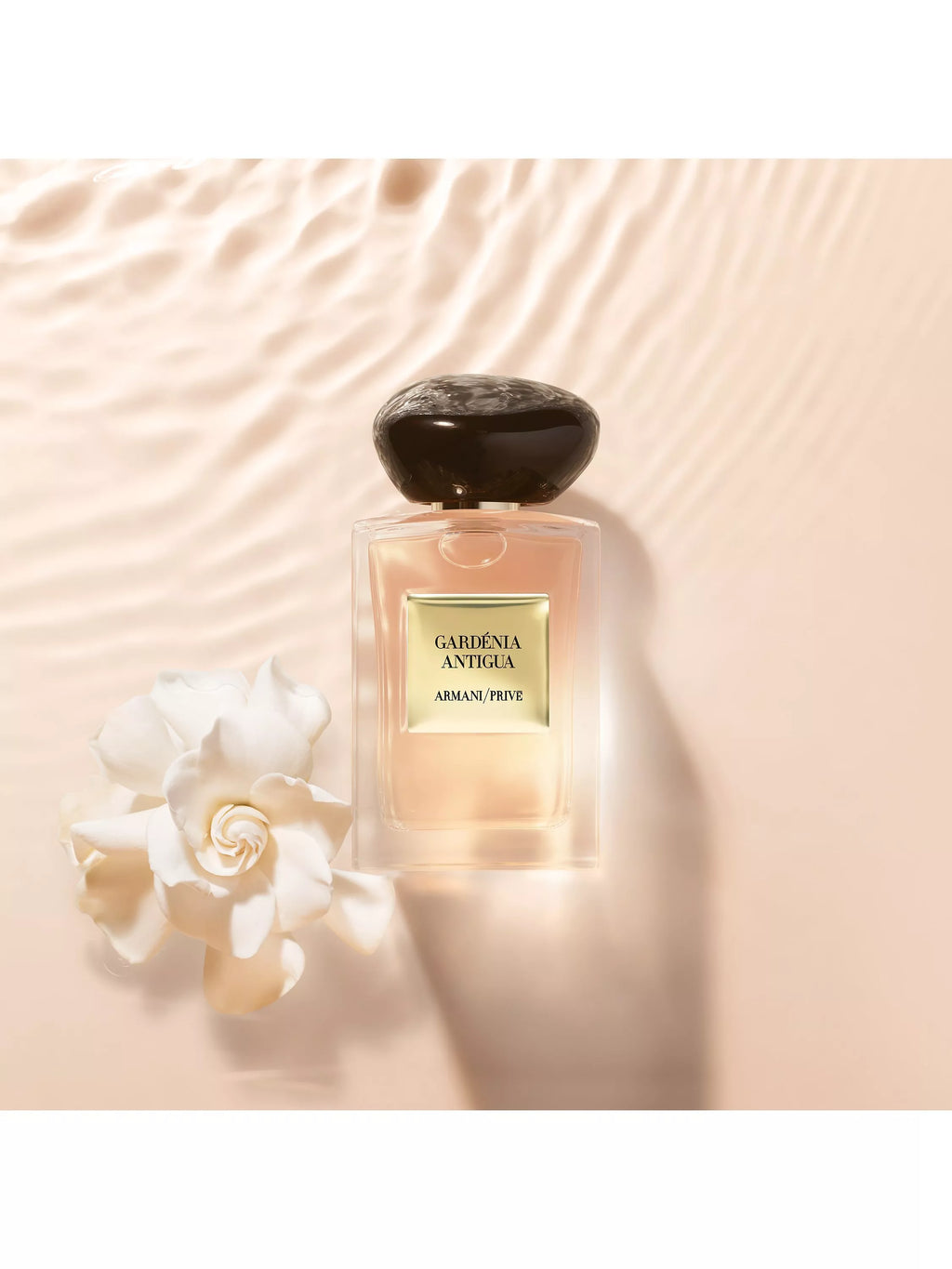 Giorgio Armani Privé Gardenia Antigua EDT For Unisex – 50 ml -  - www.xscent.shop