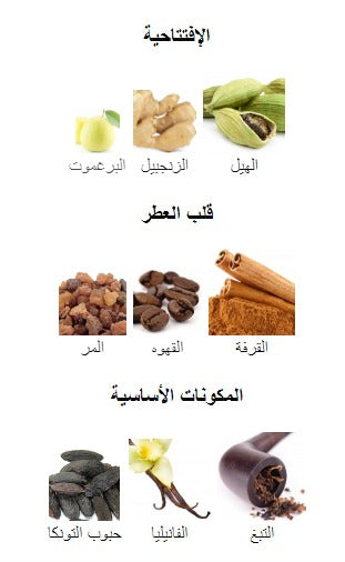 Giorgio Armani Prive Magenta Tanzanite Eau De Parfum Unisex -100ml -  - www.xscent.shop