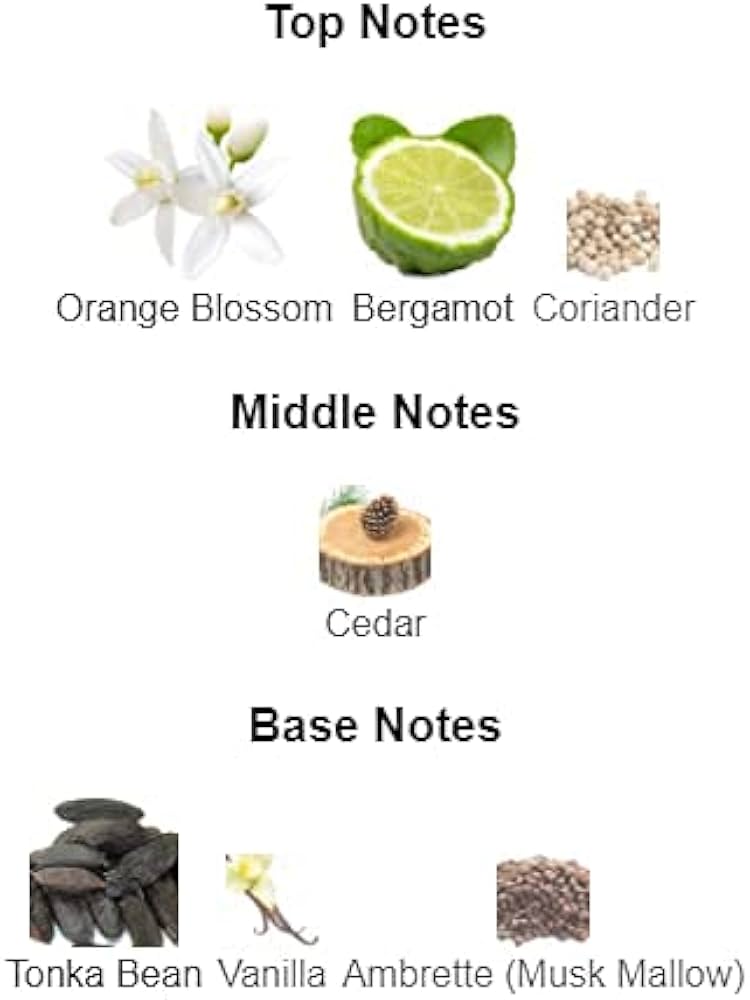 The Woods Collection Timeless Sands EDP For Unisex - 100 ml -  - www.xscent.shop