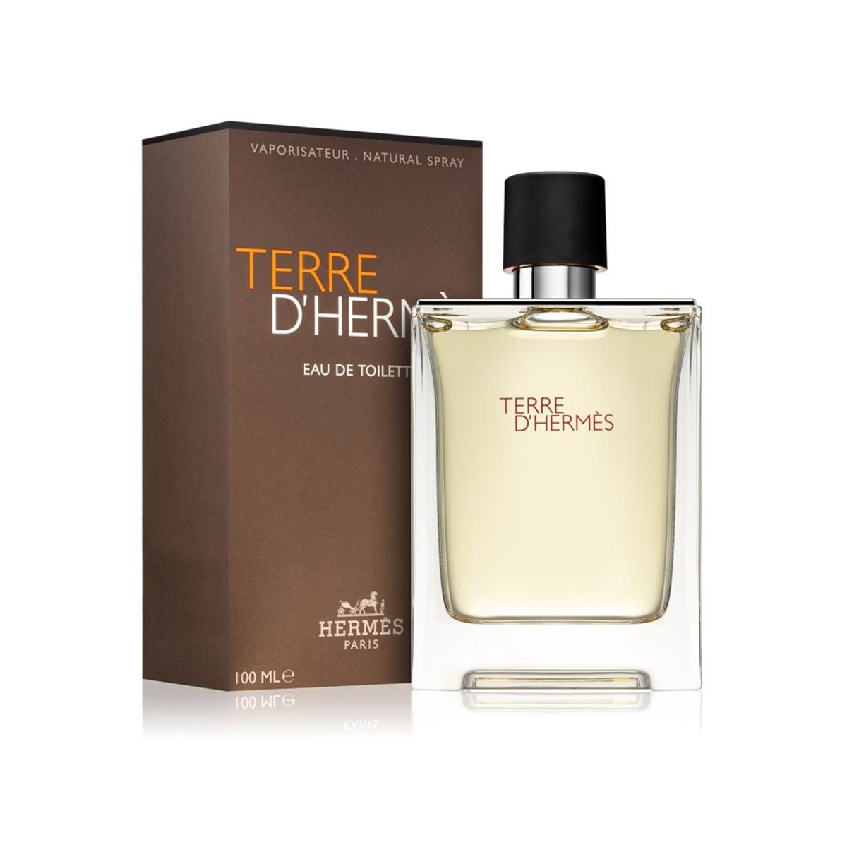 Hermes Terre D'Hermes EDT For Him - 100 ml -  - www.xscent.shop