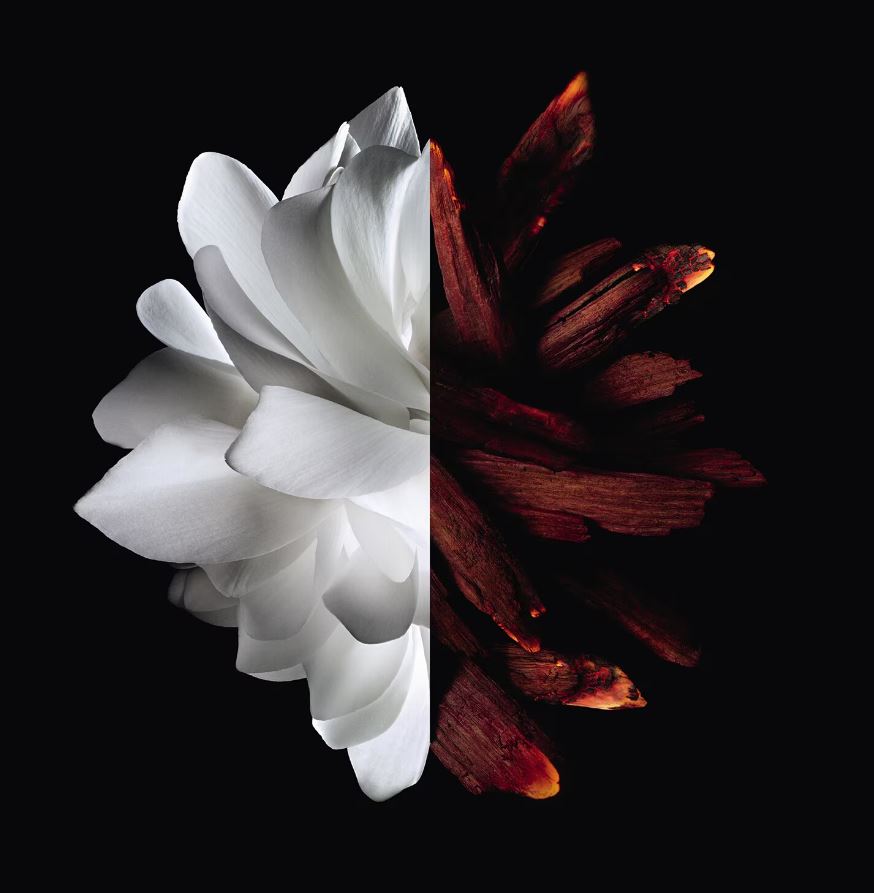 Givenchy L'interdit Eau De Parfum Rouge for Her - 125 ml -  - www.xscent.shop