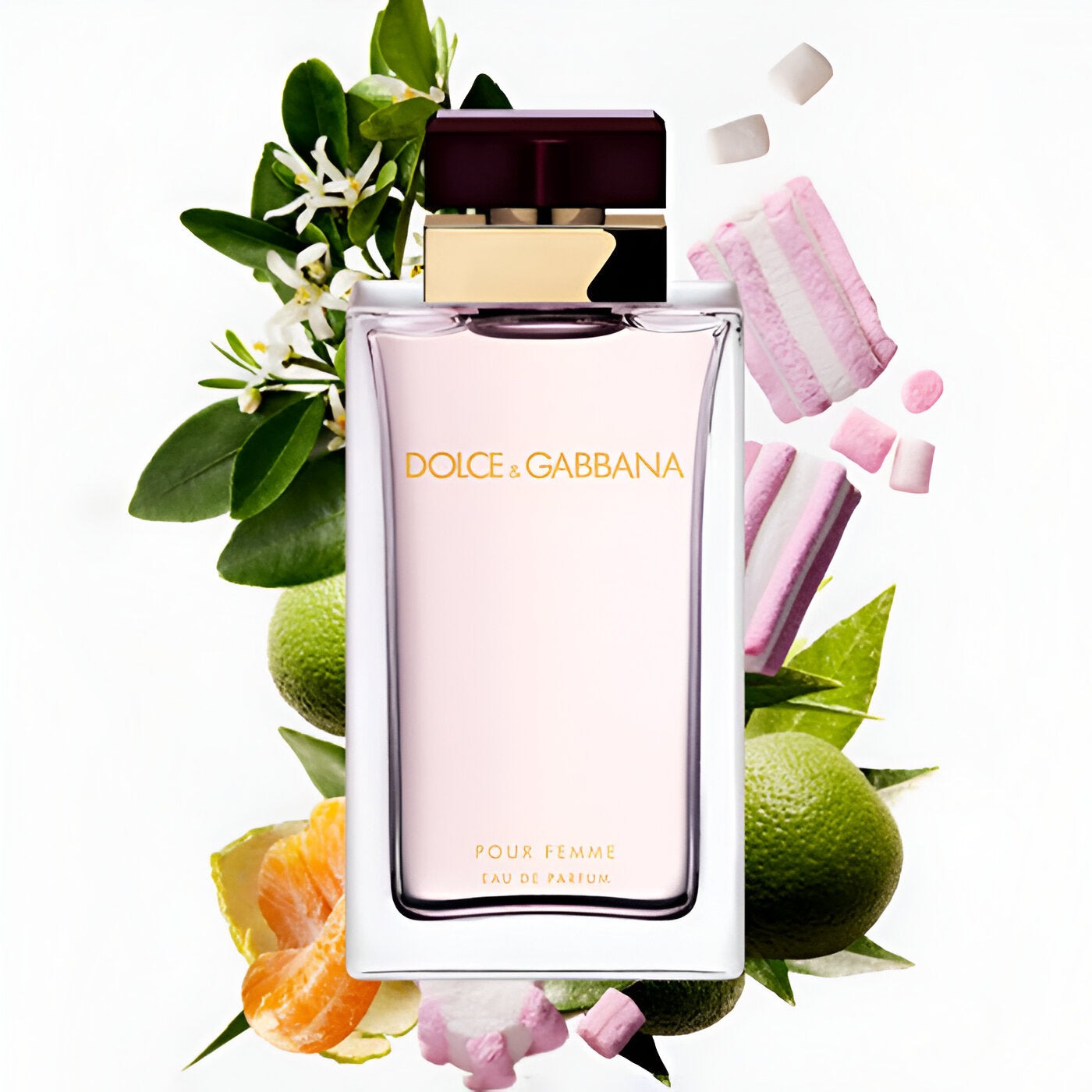 Dolce & Gabbana Pour Femme Eau de Parfum For Her - 100 ml - www.xscent.shop