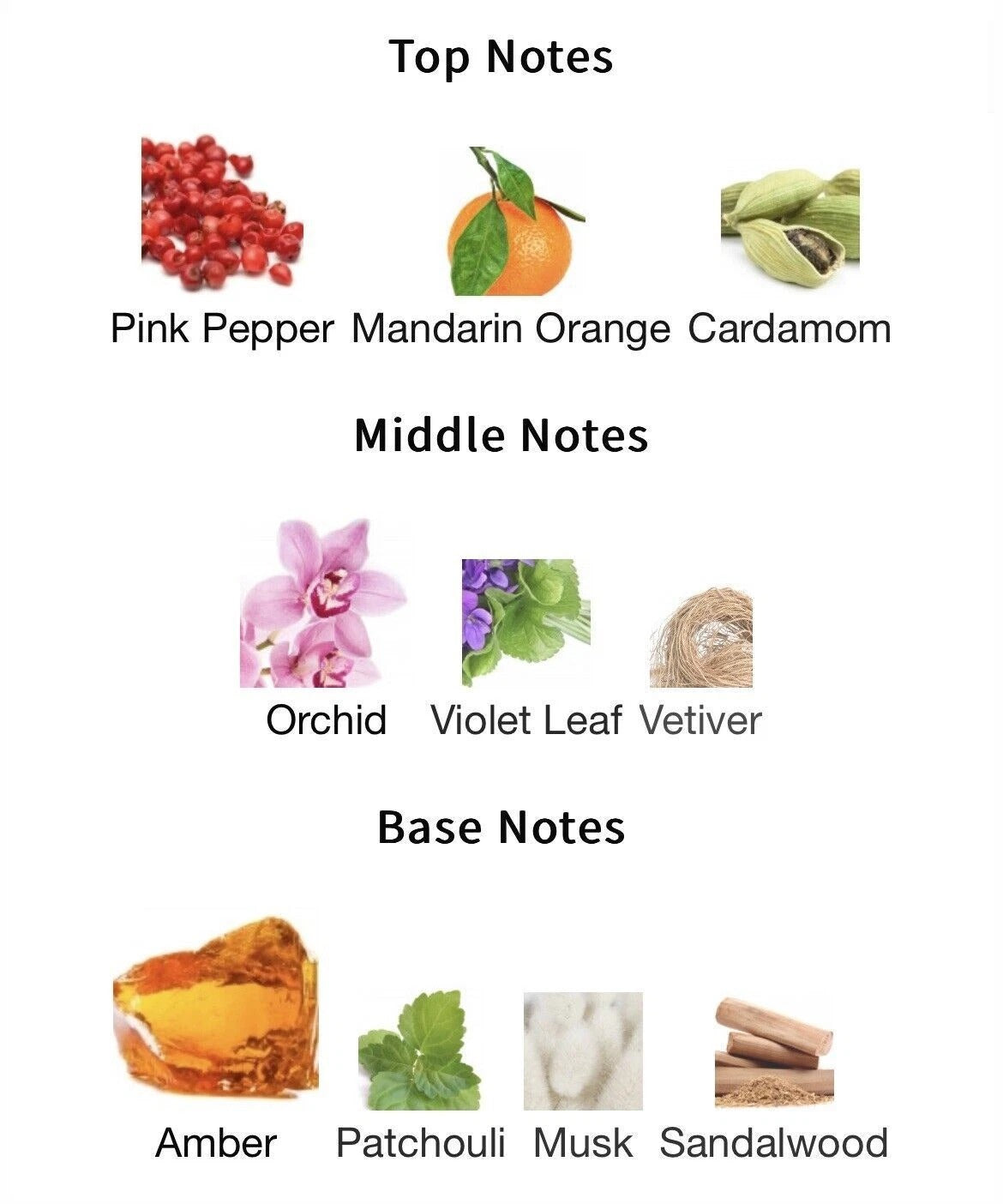 Guess Seductive Homme EDT For Him - 100 ml -  - www.xscent.shop