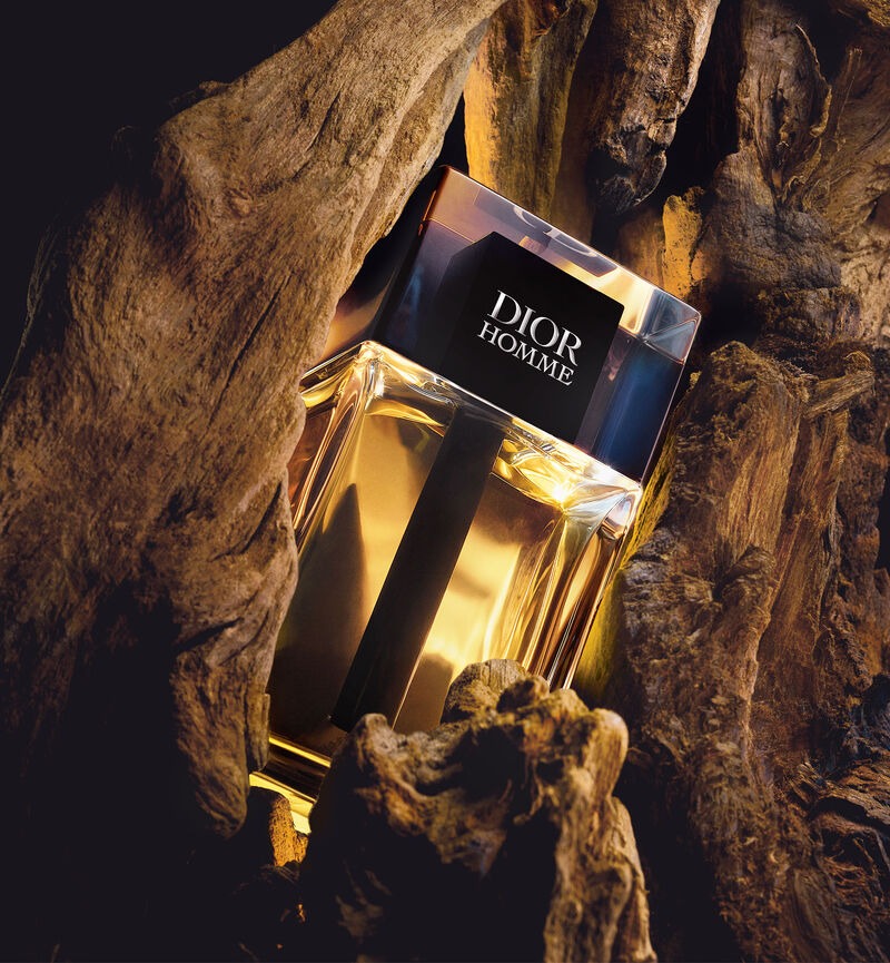 Dior Homme Eau de Toilette - 50 ml - www.xscent.shop