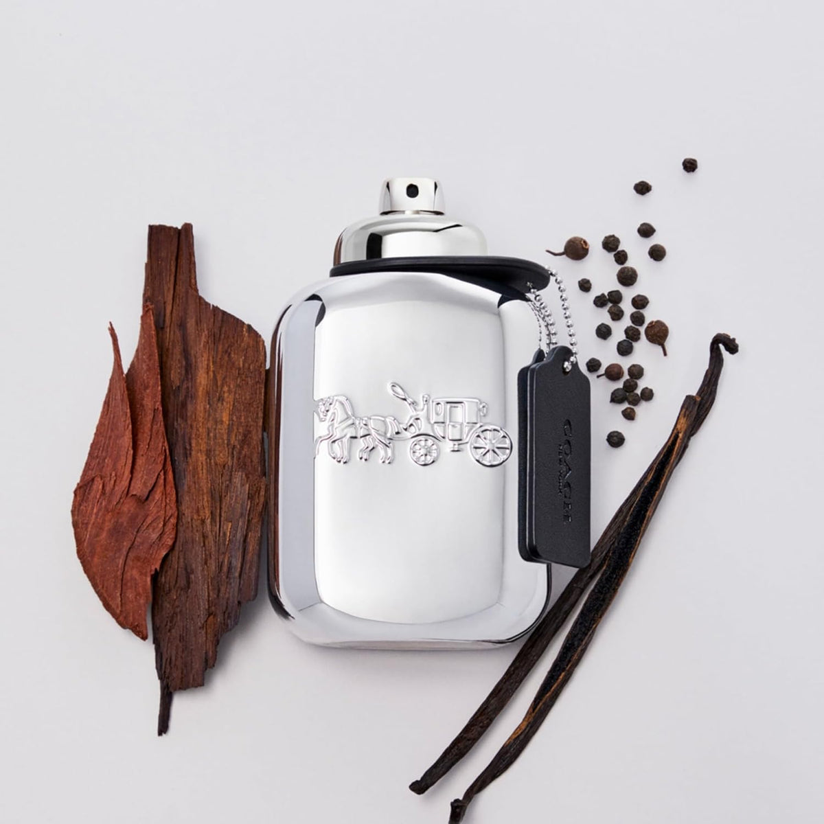 Coach New York Platinum EDP For Him - 100 ml -  - www.xscent.shop