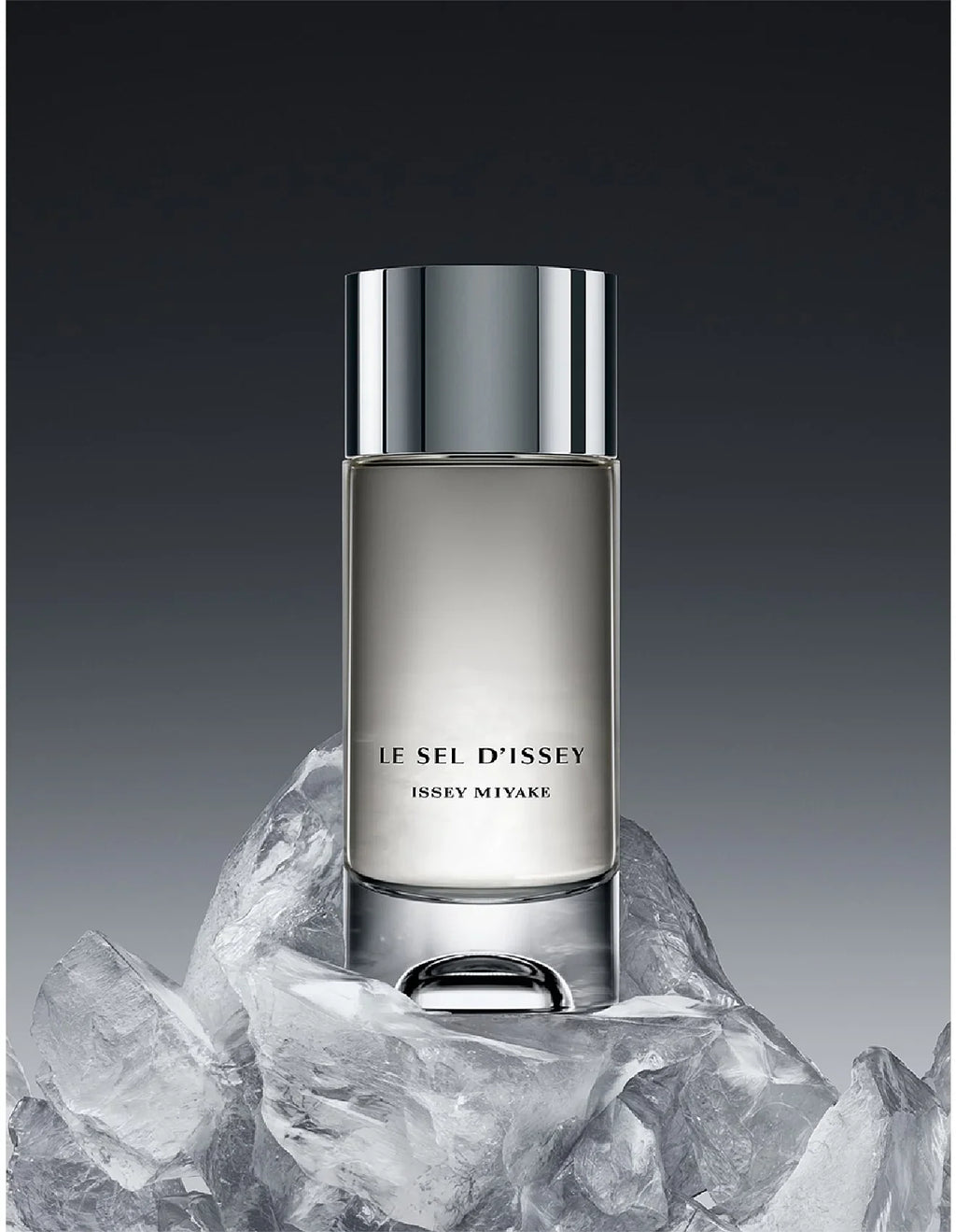Issey Miyake Le Sel D'issey EDT For Him - 100 ml Refill -  - www.xscent.shop