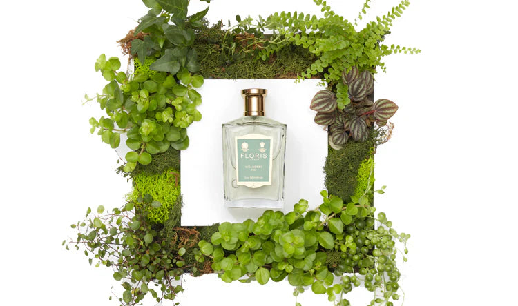 Floris Mulberry Fig EDP For Unisex - 100 ml -  - www.xscent.shop
