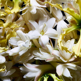 Yves Saint Laurent Supreme Bouquet EDP For Unisex – 75 ml -  - www.xscent.shop