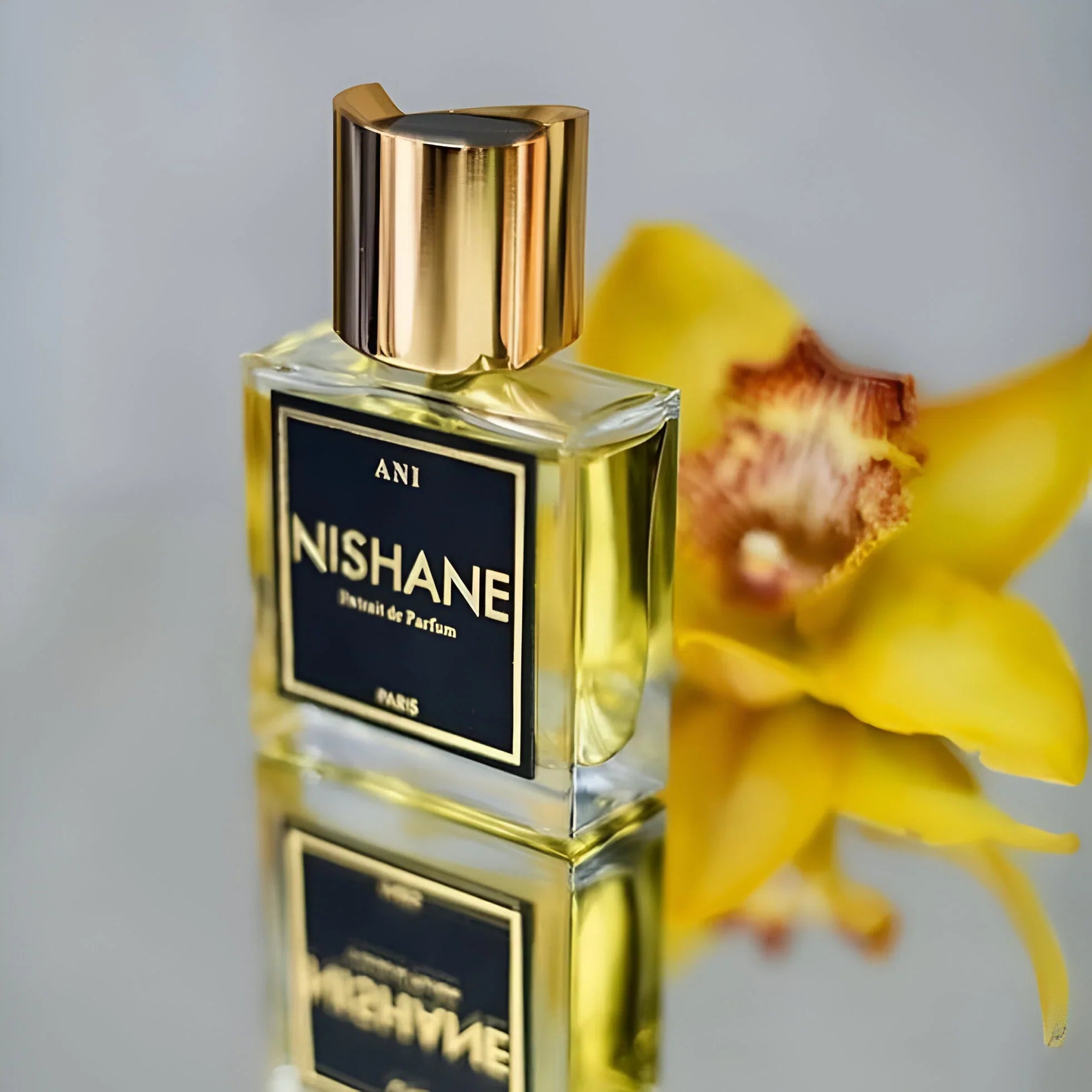 Nishane Ani EDP For Unisex - 100 ml -  - www.xscent.shop