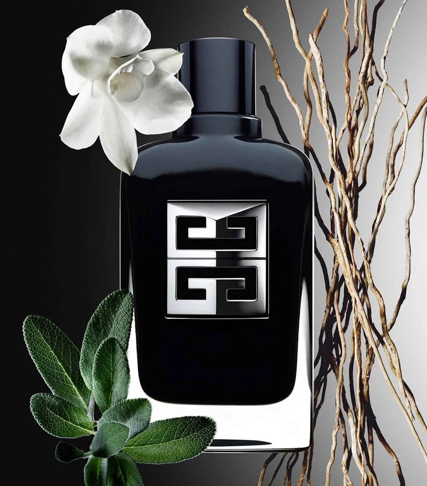 Givenchy Gentleman Fragrance Set -  - www.xscent.shop
