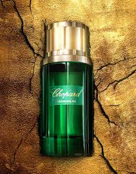 Chopard Cedar Malaki EDP For Unisex - 80 ml -  - www.xscent.shop