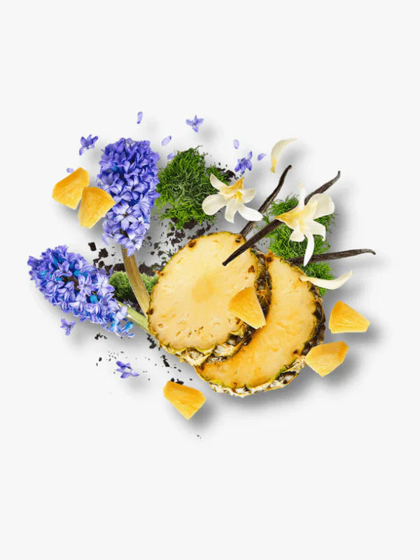 Xerjoff Accento EDP for Unisex - 100 ml -  - www.xscent.shop